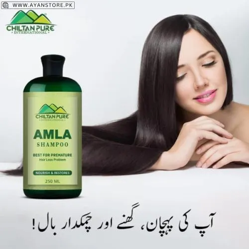Chiltanpure Amla Shampoo