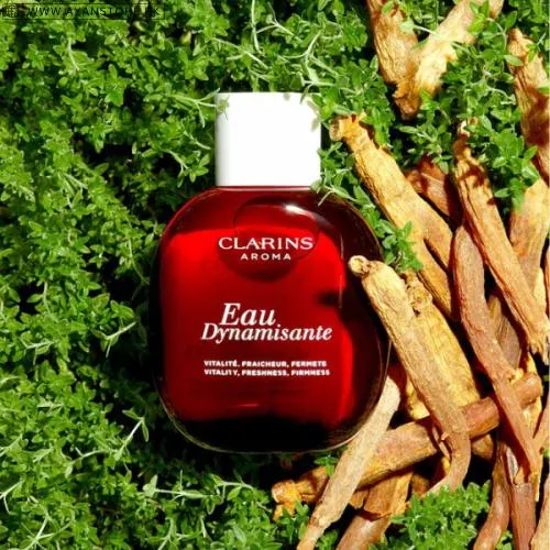 Clarins Eau Dynamisante Eau Price In Pakistan
