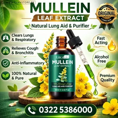 Mullein Leaf Extract in Pakistan