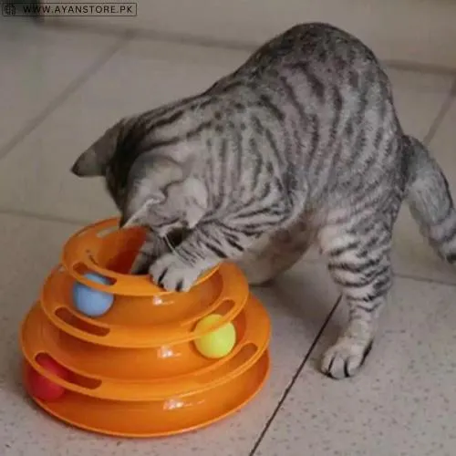 Buy Cat Toys In Pakistan