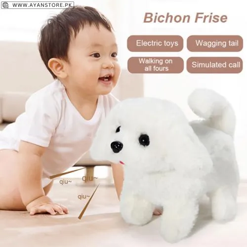 Dog Toys In Pakistan