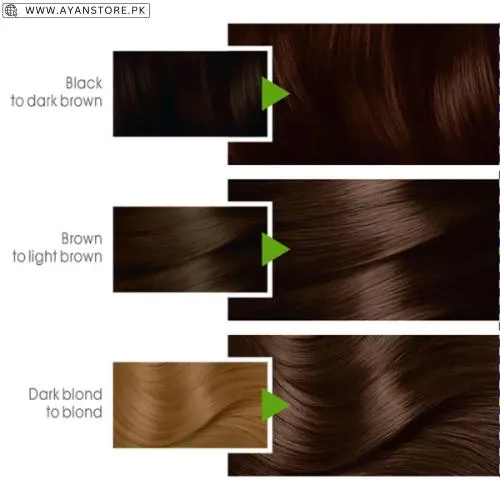 Garnier Hair Color Shades